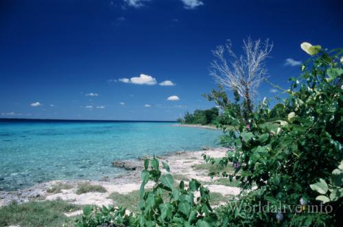 010 - Península de Zapata