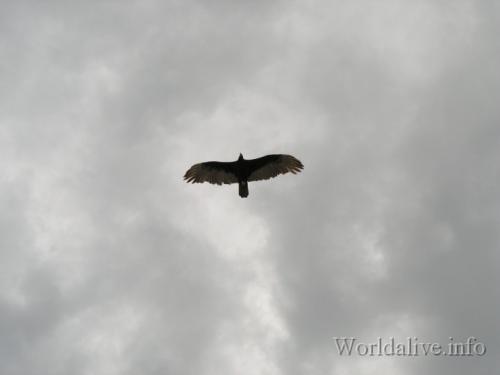 08 - Santiago-Trinidad